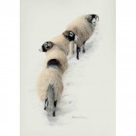 Making Tracks By Sandra Parker